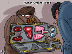 HUMAN ORGANS TRADE by Emad Hajjaj