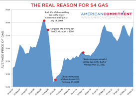 GAS CHART FOR KERPEN COLUMN by Daryl Cagle