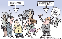 UNDECIDED by Mike Keefe