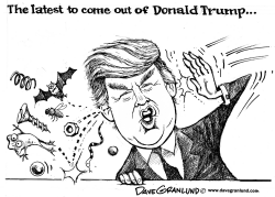 DONALD TRUMP PUBLICITY STUNTS by Dave Granlund