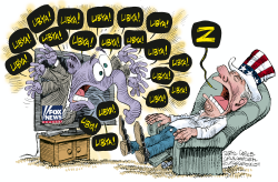 FOX NEWS AND LIBYA by Daryl Cagle