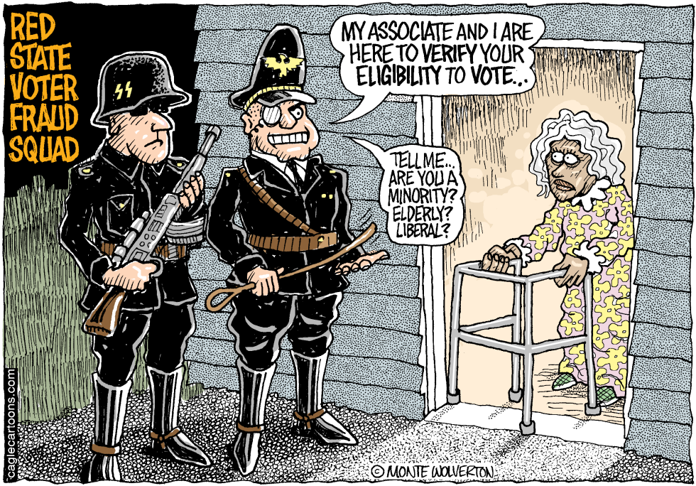  VOTER FRAUD SQUAD by Wolverton