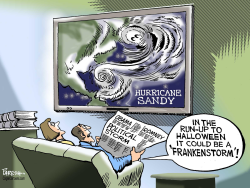 HURRICANE SANDY by Paresh Nath