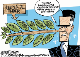 ROMNEY LIES by David Fitzsimmons