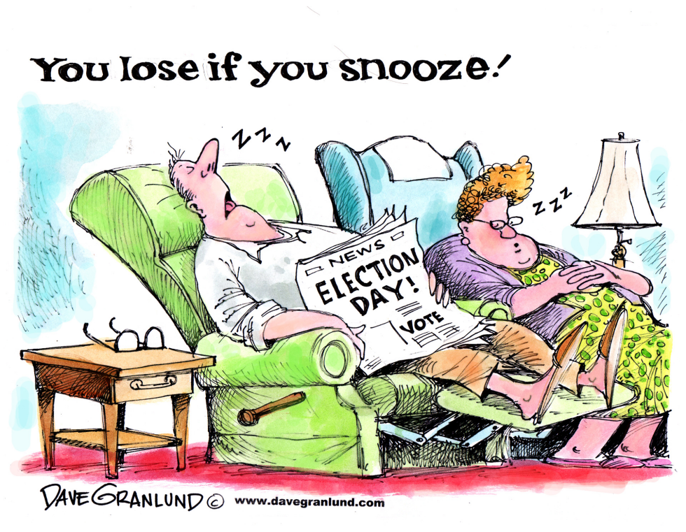  VOTER APATHY by Dave Granlund