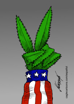 LEGALIZACIóN by Antonio Neri Licón