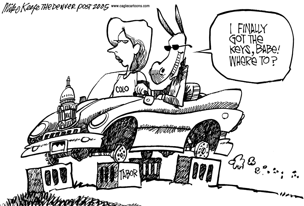  LOCAL CO DEMS by Mike Keefe