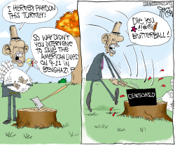 OBAMA KILLS THE TURKEY by Gary McCoy