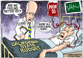 LOCAL-CA PROP 30 NOT ENOUGH by Wolverton