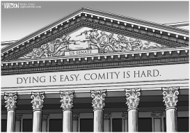 SENATE COMITY IS HARD by RJ Matson