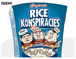 RICE KONSPIRACIES by Steve Sack