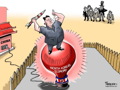 NORTH KOREAN ROCKET  by Paresh Nath