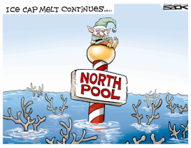 NORTH POOL by Steve Sack