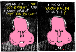 MCCAIN AND RICE by Randall Enos