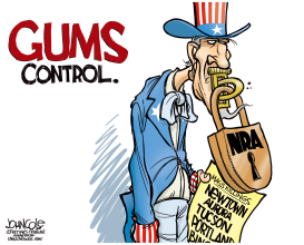 NRA AND GUN DEBATE by John Cole