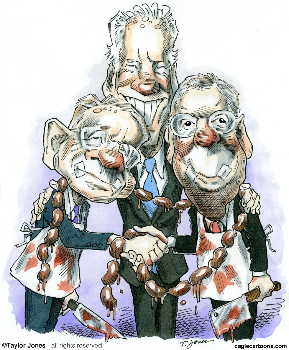  REID, MCCONNELL AND BIDEN by Taylor Jones