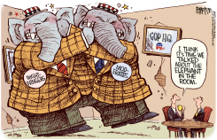 GOP ELEPHANT IN THE ROOM by Rick McKee