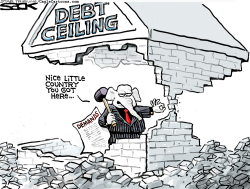 DEBT CEILING THREAT by Steve Sack