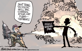 ASSAULT WEAPONS BAN by Mike Keefe