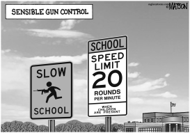 SENSIBLE GUN CONTROL by RJ Matson