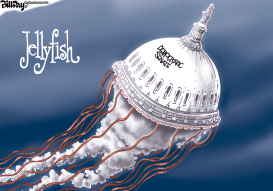 JELLYFISH by Bill Day