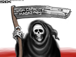 MAGAZINE CAPACITY  by Steve Sack