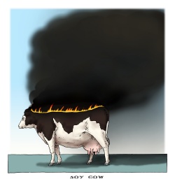 SOY COW by Joep Bertrams