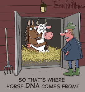 HORSE DNA by Sergei Elkin