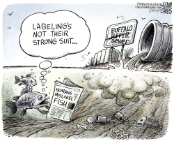 LOCAL MISLABELING FISH by Adam Zyglis