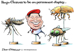 HUGO CHAVEZ ON DISPLAY by Dave Granlund