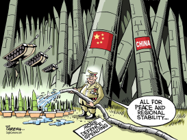 CHINA DEFENCE SPENDING by Paresh Nath