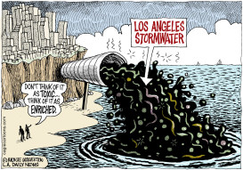 LOCAL-CA LOS ANGELES STORMWATER by Wolverton