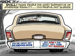 MARRIAGE EQUALITY POLL by Steve Sack