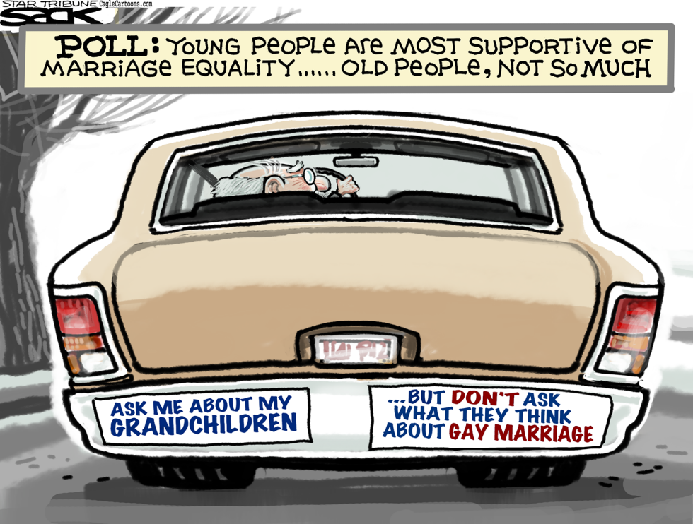  MARRIAGE EQUALITY POLL by Steve Sack