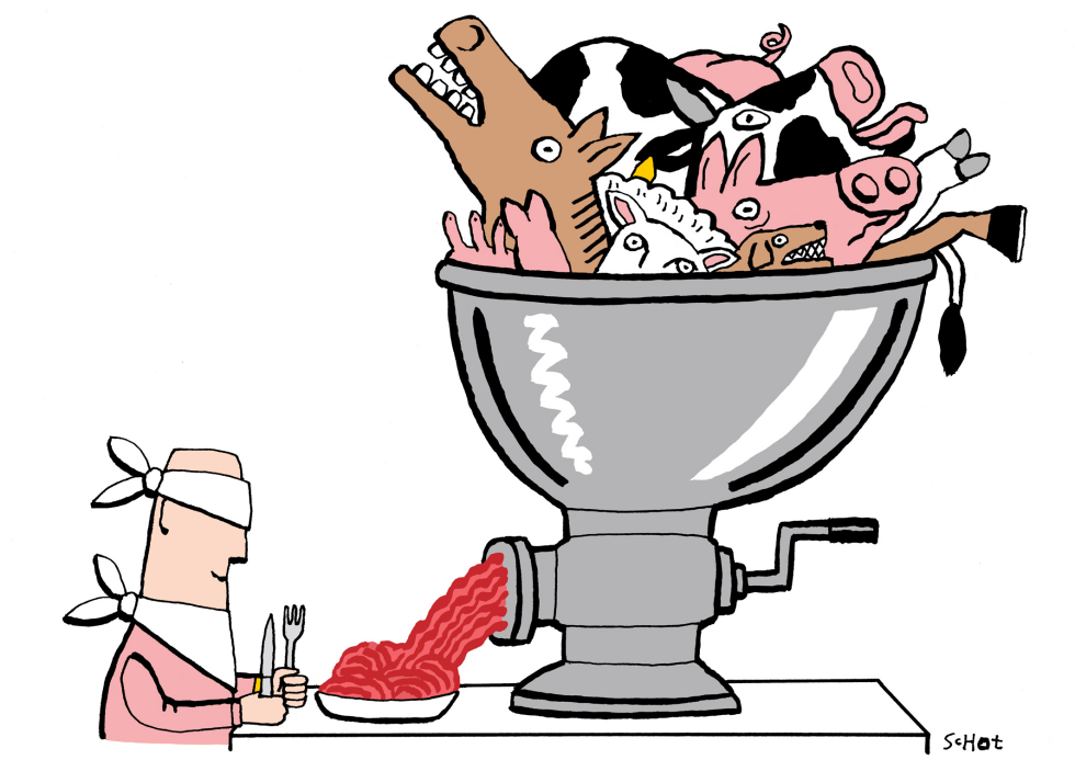  MEAT INDUSTRY by Schot