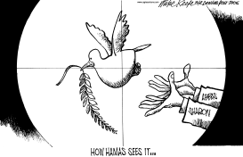 HOW HAMAS SEES IT by Mike Keefe