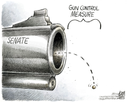 GUN CONTROL MEASURE by Adam Zyglis