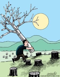 A FAKE TREE by Arcadio Esquivel