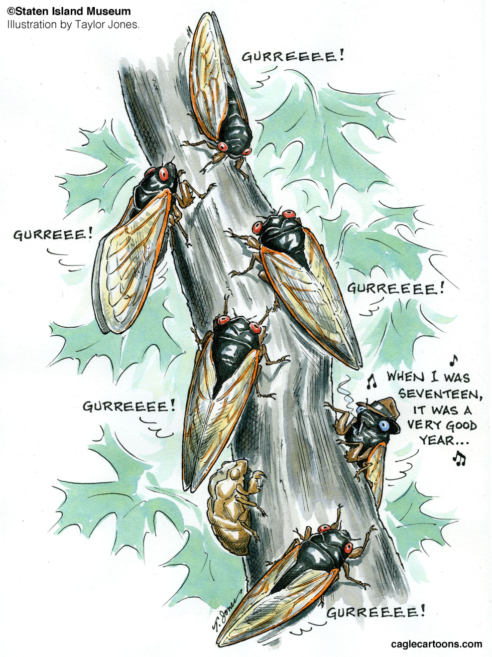  SONGS OF THE PERIODICAL CICADA by Taylor Jones