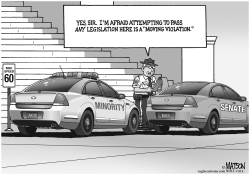 SENATE SPEED TRAP by RJ Matson