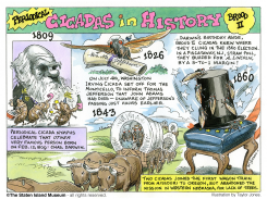 HISTORY OF 17-YEAR CICADAS - PART 1 by Taylor Jones