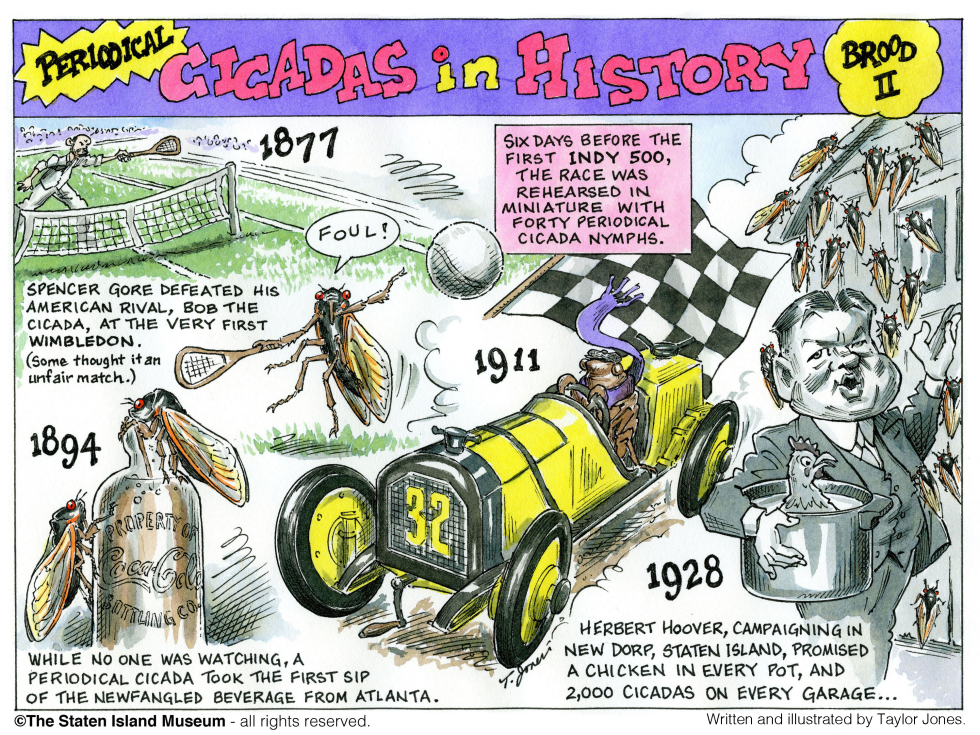  HISTORY OF 17-YEAR CICADAS - PART 2 by Taylor Jones