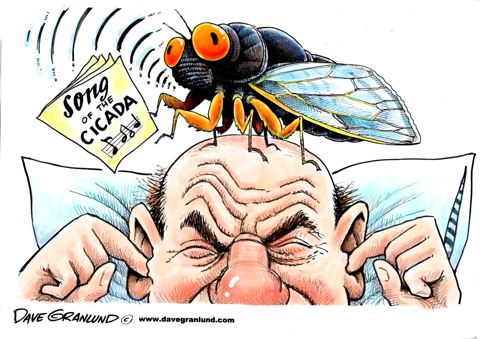  CICADA INVASION by Dave Granlund