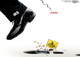 IRS AND THE TEA PARTY by Nate Beeler