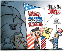 IRS OUTRAGE by John Cole