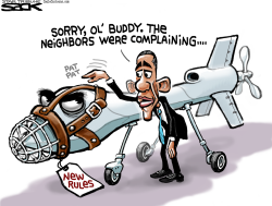 DRONE RULES by Steve Sack