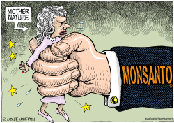 IN MONSANTO'S CLUTCH by Wolverton