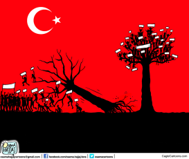 TURKISH SPRING by Osama Hajjaj