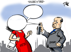 DIALOGUE IN TURKEY by Tom Janssen