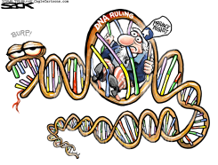 DNA RULING by Steve Sack